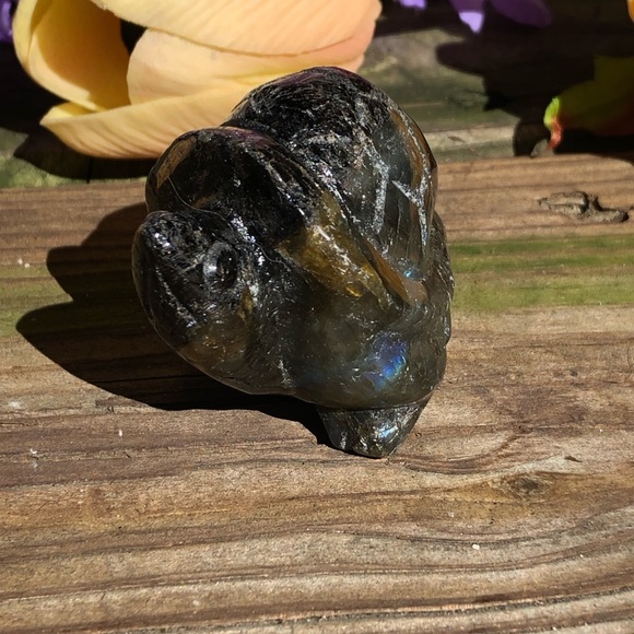 Labradorite Crystal Turtle - Picture 6 of 16